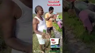 SANMAX ENERGY#agriculture #farming#agriculture #pests #fertilizer