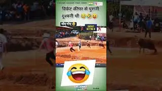 Cow attack in cricket match😄 #funny #comedyshorts #comedy #comedyvideo
