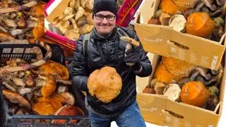 Takiego urodzaju nie spodziewałem się