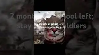 Stay strong guys #phonk #phonkmusic #music #funny #funnymemes #viralvideo #cat