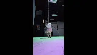 Freestyle Flow (Prompt - Calming Nervous System) Pole Dance
