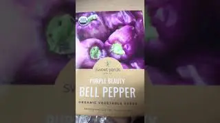 Grow Pepper Plants from seed🌶️ Pepper Season Is OFFICIALLY Underway&hellip; Plus a Few Surprises 🌱