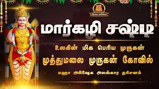 🔴Live: மார்கழி சஷ்டி | உலகிலேயே மிக பெரிய முருகன் | முத்துமலை முருகன் மஹா அபிஷேக அலங்கார தரிசனம்