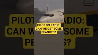 Пилот случайно сделал объявление на частоте УВД