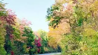 Nature's Drive-Thru Light Show on Route 202 Quabbin Reservoir, Massachusetts @peak fall foliage 2020