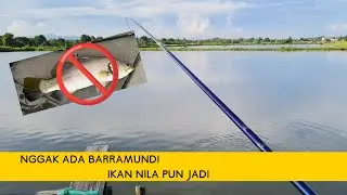 Niat Mancing Barramundi di Spot Gacor, malah Panen Ikan Nila!! 😂