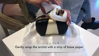 Thalē Blanc Clutch:  Single Orchid- How to take care of and store