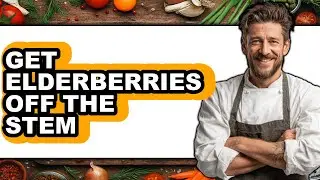 How to Get Elderberries Off the Stem (UPDATED)