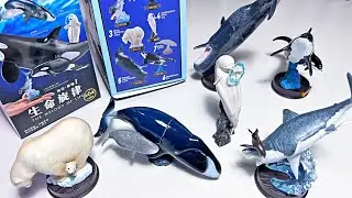 6 НОВЫХ морских животных: косатка, гренландский кит, белуха, большая белая акула, белый медведь, ...