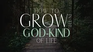 How To Grow In The God-Kind Of Life | Pt. 1 | Mark Hankins Ministries