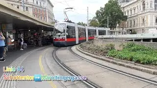 Wiener Linien Linie 44 🚊 #243 Schottentor➡️Maroltingergasse