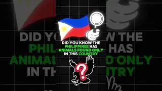 На Филиппинах есть животные, которых можно встретить только в лесах?!