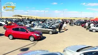 الكلام بيختلف دايما ما بين التجار اثناء شراء العربية وتقديرها