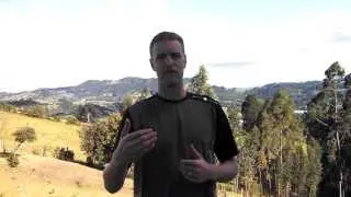 The Importance of Reflection & Planning for a More Fruitful Life