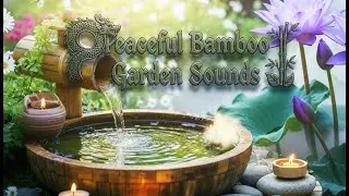 Peaceful Night Garden for Mindfulness, Soothing Fountain Sounds with Lotus Bloom #livestream