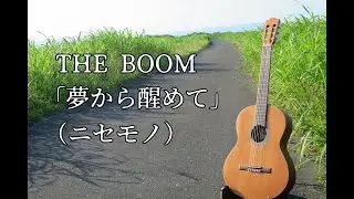 THE BOOM「夢から醒めて」（ニセモノ）