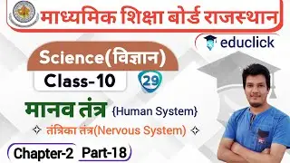 BSER/RBSE Class-10th Science Chapter-2 | मानव तंत्र(Human System) | Part-18 | तंत्रिका तंत्र |