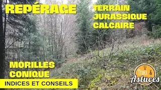 [morilles 2022] Repérage et indices du jurassique calcaire : conseils pour morilles coniques