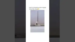 THERE'S REALLY SMTH MAGICAL ABOUT THIS VIDEO