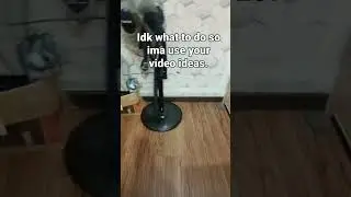Can I please Have My First Idea? :(