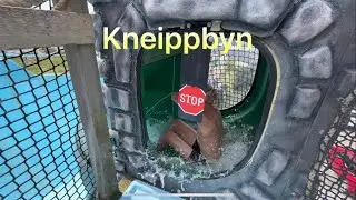 Vlogg| Gotland, Visby och Kneippbyn!!!