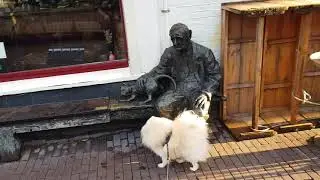 Прогулка по вымершему Амстердаму. Walk in empty Amsterdam.