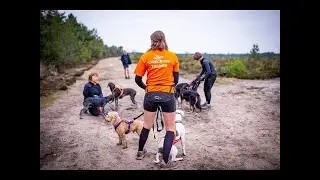 What is it like to be a DogFit Certified Trainer?
