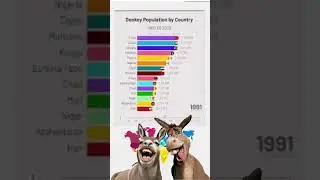 From 1960 to 2025: The Global Donkey Population Story#TrendingNow #AnimalFacts #TrendingNow #shorts