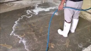 How to Find Top Quality of Area Rug Cleaning in Jupiter ?