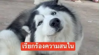 เหงาก็เลยเรียกร้องความสนใจไปงั้นแหละ