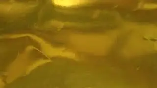 金色の玉たまたま当たっただけなのに