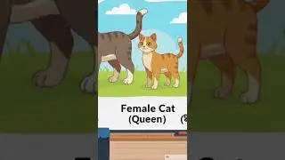 Male, Female & Baby Animal Names in English ✨ Master Vocabulary! #englishcorner #collocation