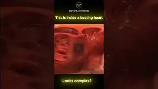 Inside the Human Heart | Blood Flow |#viral #explore #biology #science #knowledge