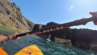 Sea paddle and unexpected encounter with Seals
