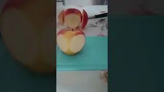 Pomme , sculptée en hibou
