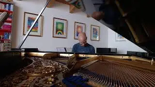 #850 of 10.000 Blüthner Grand Piano Pieces