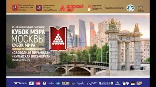 TV 29. XII турнир по бильярдному спорту &laquo;Кубок Мэра Москвы&raquo;. &laquo;Китайская восьмерка&raquo;.