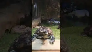 Pond education