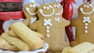 Holiday Stock Footage by Milleflore Images 2016