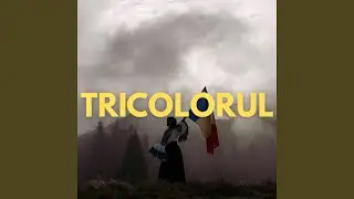 Tricolorul