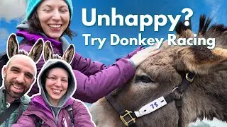 Have a donkey mental health day - burro racing in Colorado