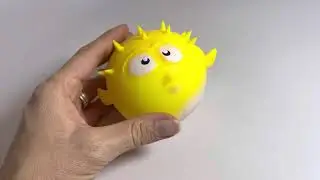 Squishy puffer fish ball. Expands with water