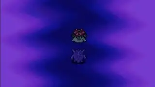 Murky Cave | Pok&eacute;mon Mystery Dungeon: Red Rescue Team