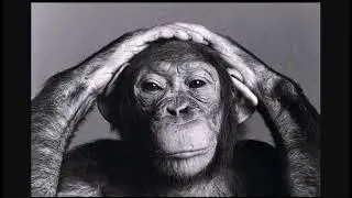 Zazie   Je Suis Un Homme (COVER)