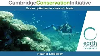 Ocean optimism in a sea of plastic - Heather Koldewey
