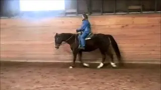 Irene and April trot