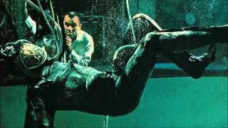 Guised - Show Me