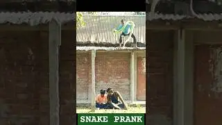 Snake Prank🐍King Cobra Snake Prank #Snake prank  #Fake snake prank #shorts #snakeprank  part (7)