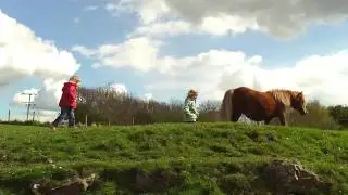 Auf der Pferdewiese 1