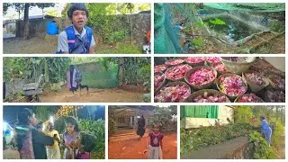 2384 🏡 ജയയും പോയി 😥 ചെറിയ മഴ 🌧️ വെള്ളം ഇല്ല പണി കിട്ടി 🤔 പൂമുടൽ